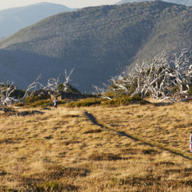 Victoria's High Country