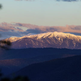 Mt Bogong