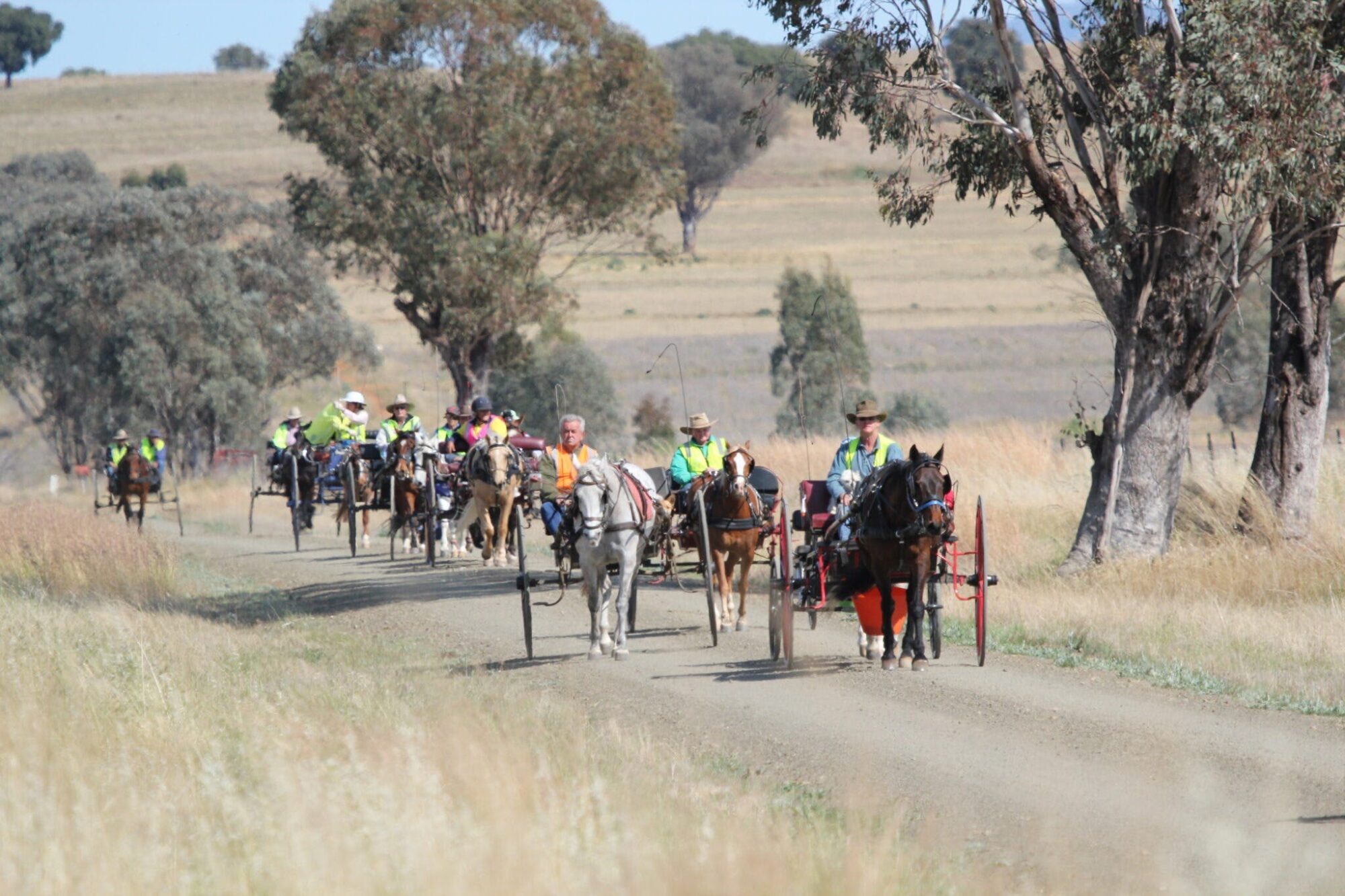 The Ruffy Mini Enduro and Carriage Drives - The Dash for Ned Kelly's Green Sash