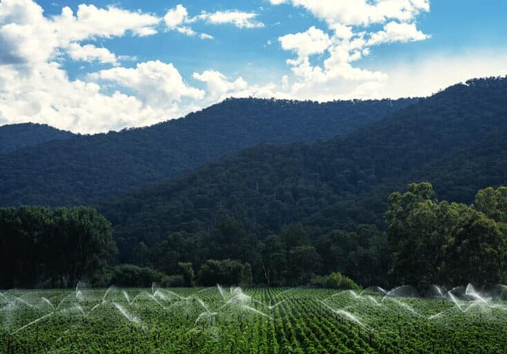 Rostrevor, HPA hop farm