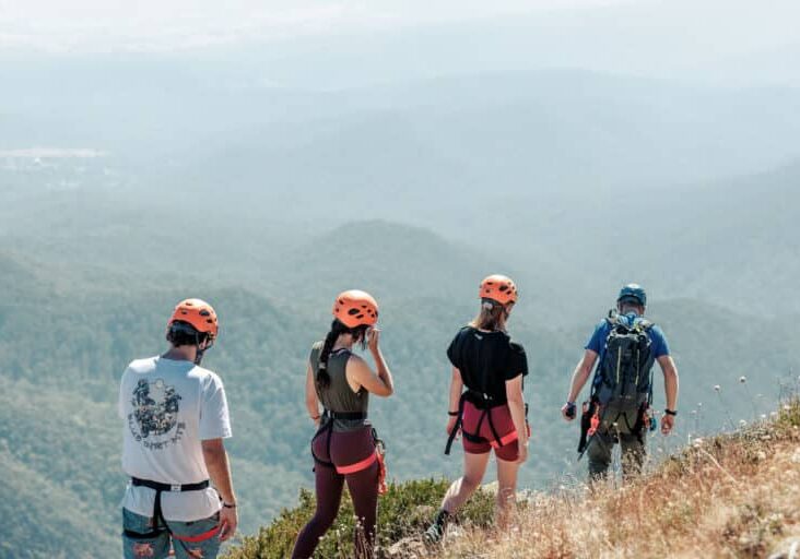 TNE - Mansfield Bushwalks and Rockwire Mt Buller