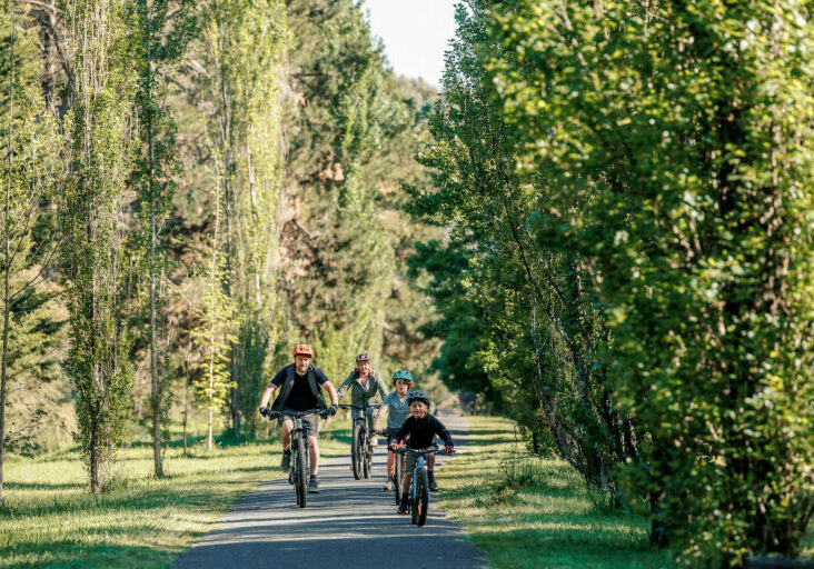 TNE - It's a High Country Thing