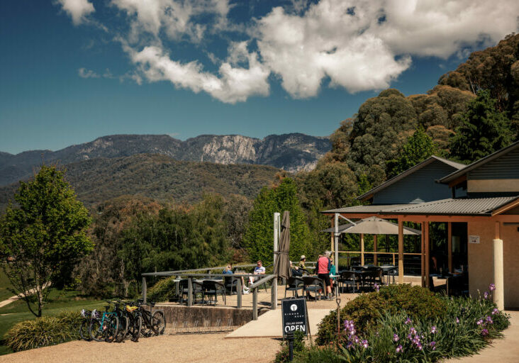 TNE - It's a High Country Thing