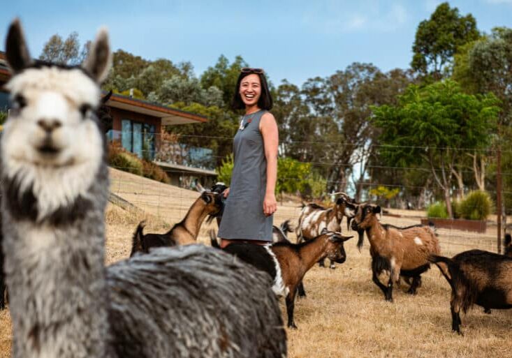BullerRoo Agritourism
