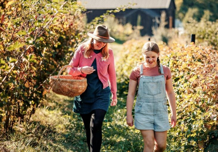 Black Barn Farm - Indigo Shire Council - One Perfect Day - Beechworth